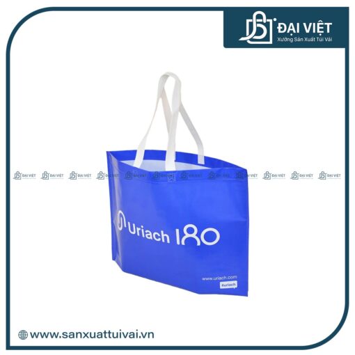 in túi vải không dệt ép nhiệt