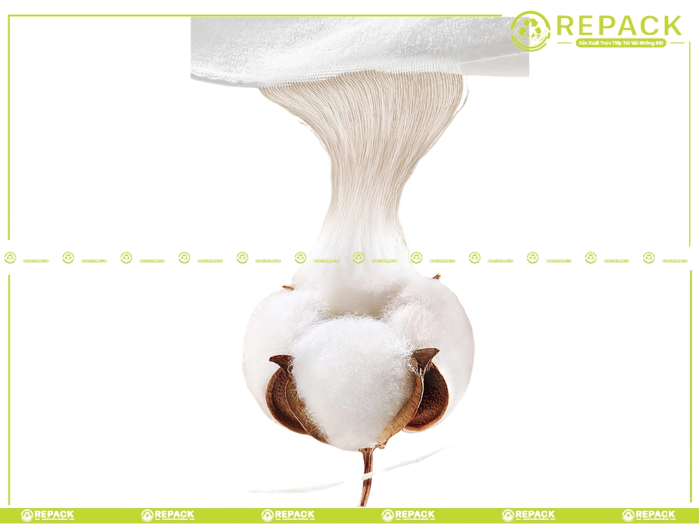 nguyên liệu vải cotton
