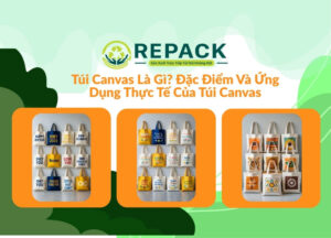 túi canvas là gì