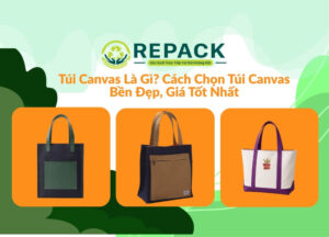 túi canvas