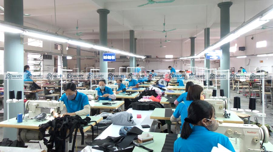 Đội ngũ công nhân viên giàu kinh nghiệm tại Đại Việt